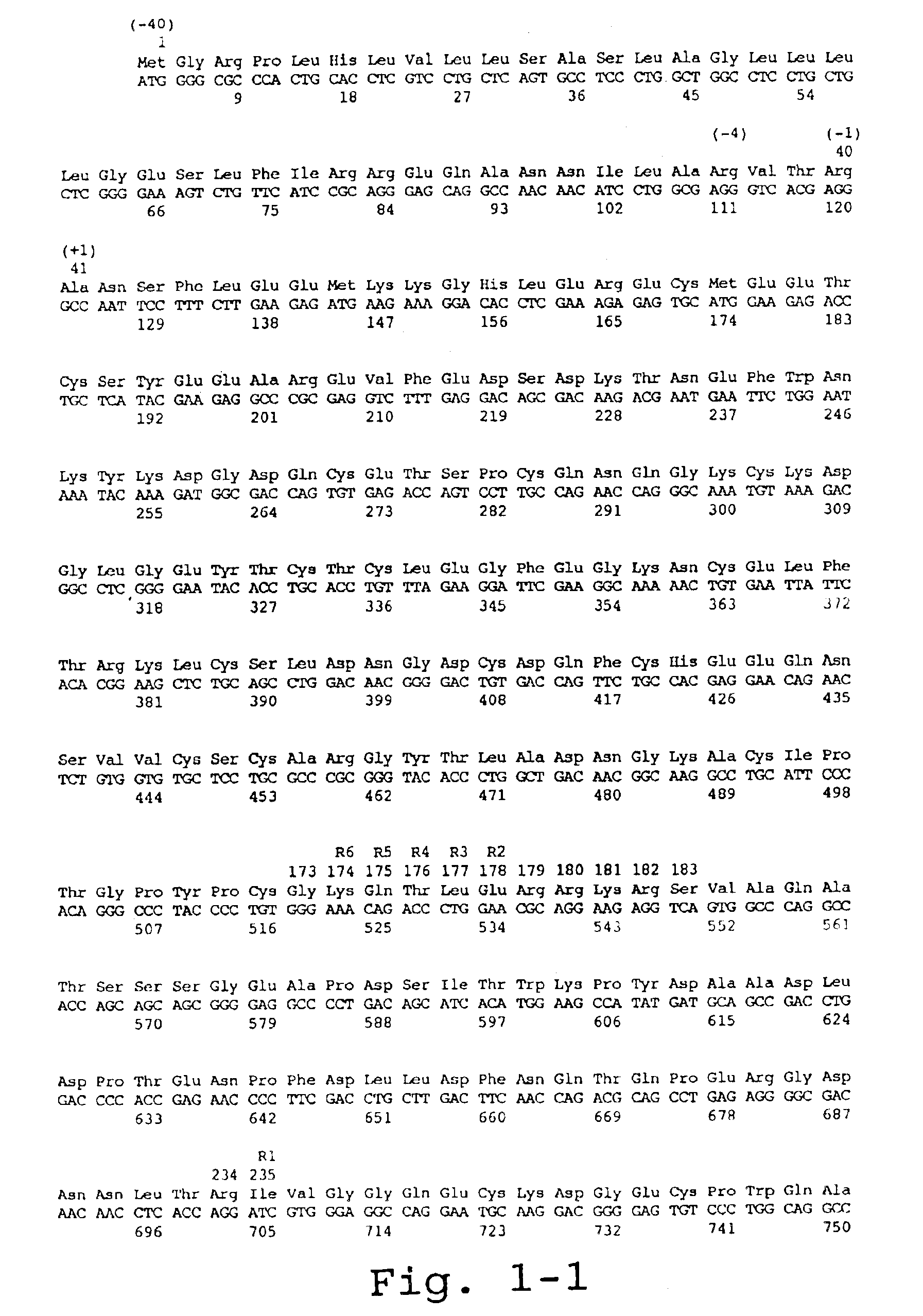 Nucleic acids encoding factor X deletion mutants and analogues thereof