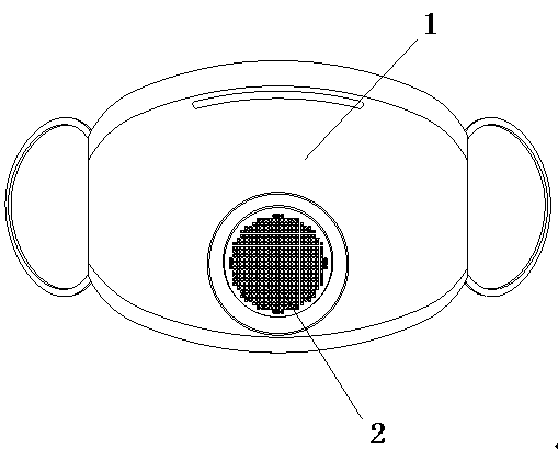 High-temperature anti-virus mask accessory