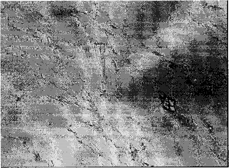 Method for regulating optical performance of liquid crystals by using azobenzene