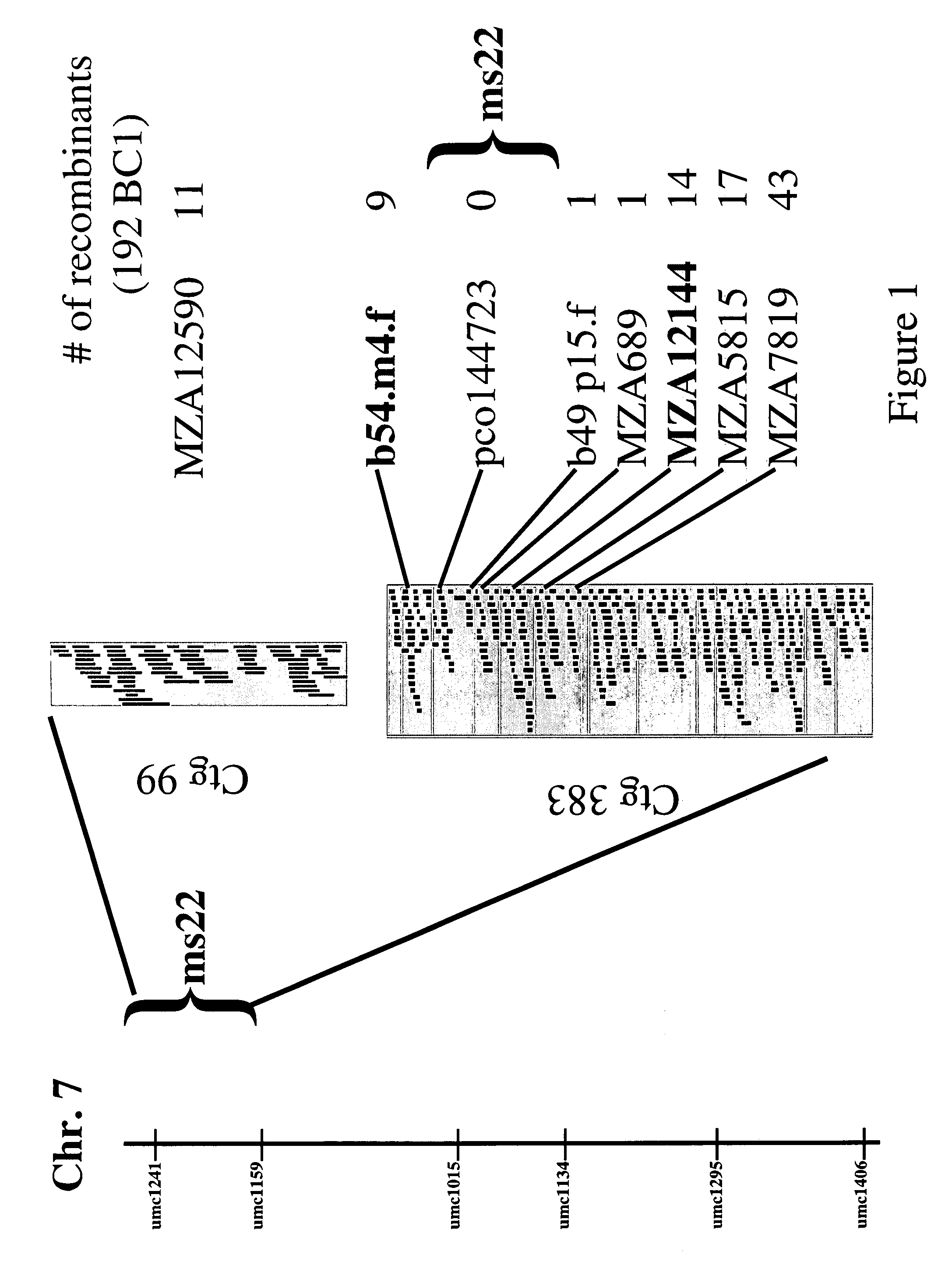 Msca1 nucleotide sequences impacting plant male fertility and method of using same