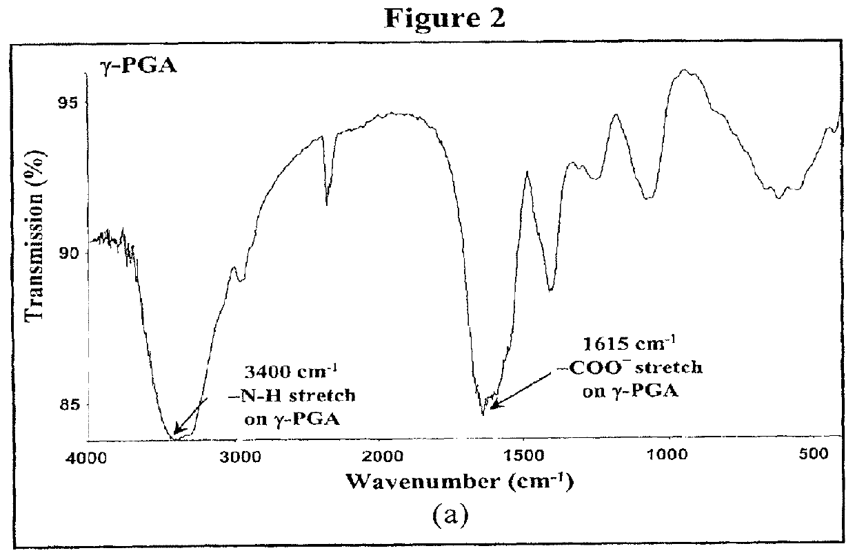 Pharmaceutical composition of nanoparticles