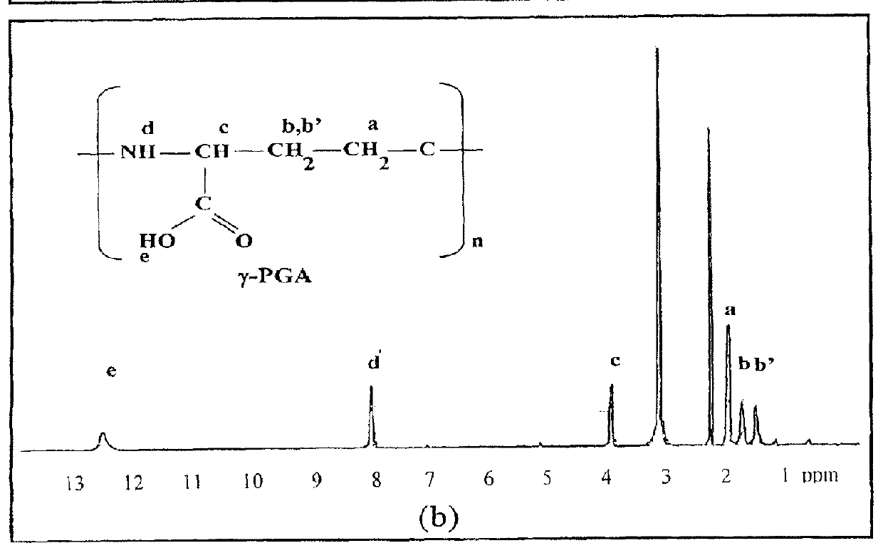 Pharmaceutical composition of nanoparticles