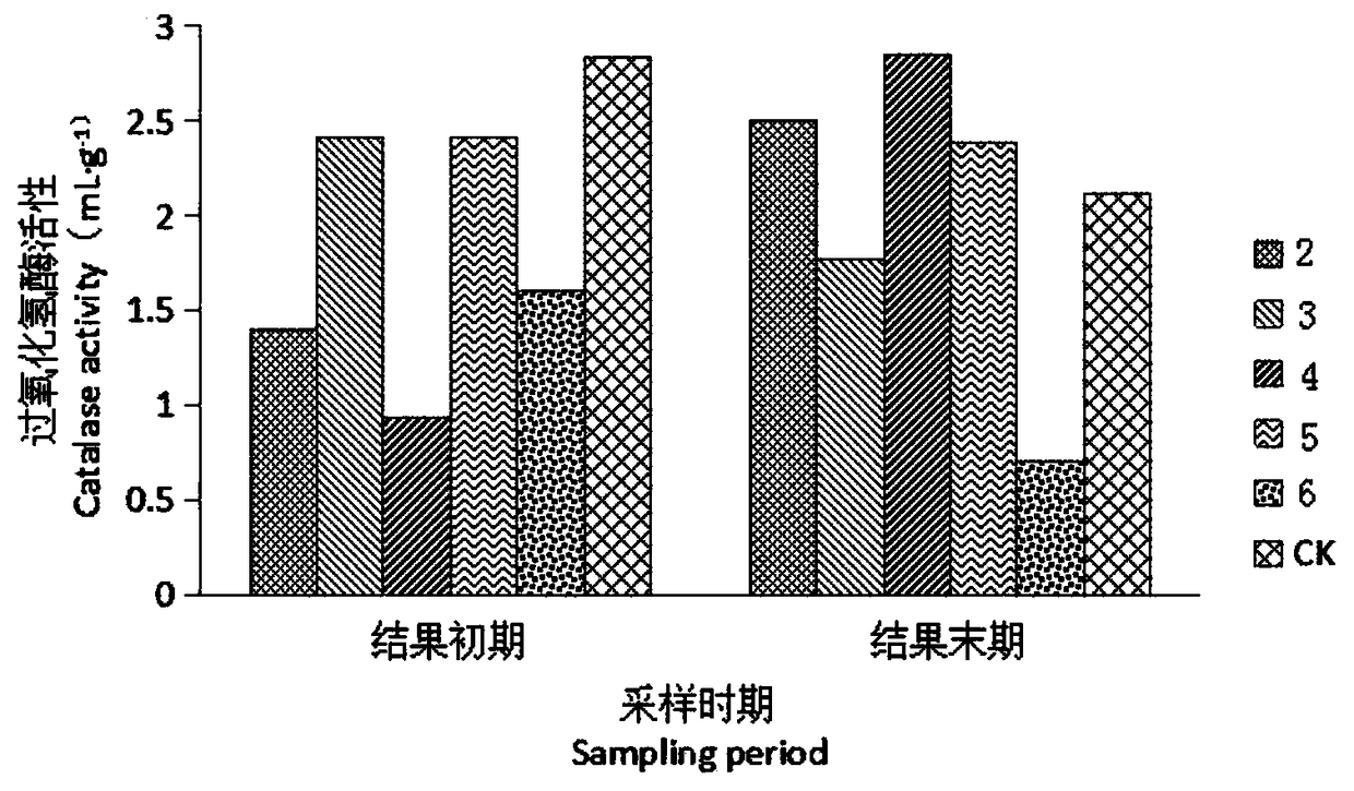 Method for reducing content of pathogenic bacteria in soil for strawberries