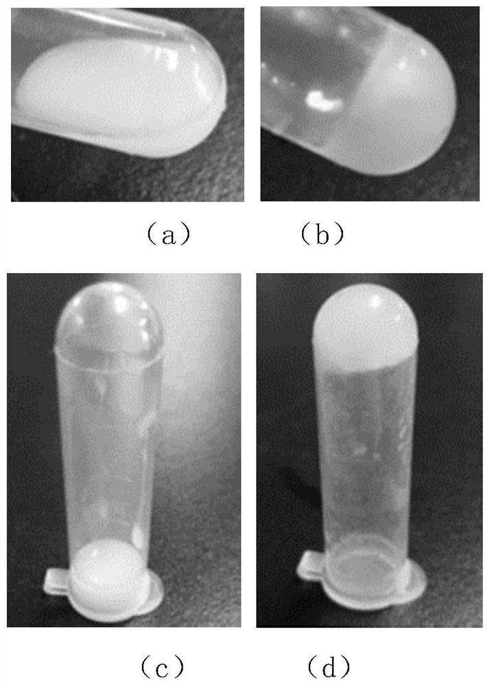 A thermosensitive liquid crystal nano hydrogel and its preparation method and application