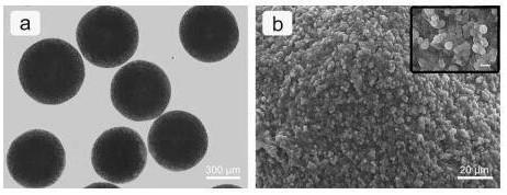 Preparation method and application of a pH-responsive calcium alginate/vaterite calcium carbonate composite microsphere with controllable release rate