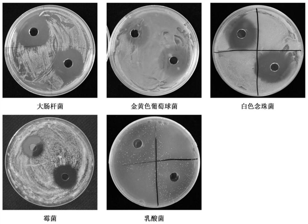 A kind of gynecological disinfectant and preparation method thereof