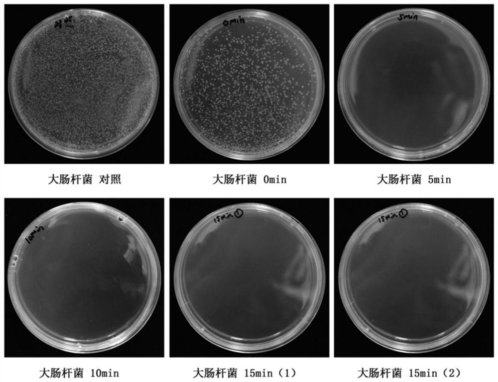 A kind of gynecological disinfectant and preparation method thereof