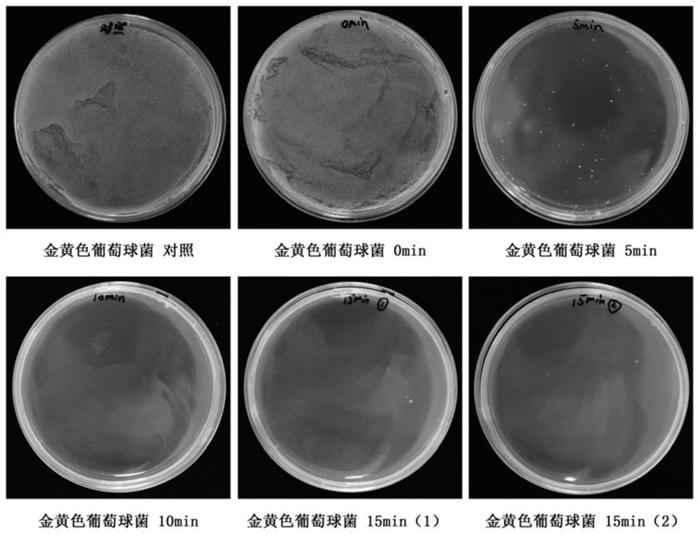 A kind of gynecological disinfectant and preparation method thereof