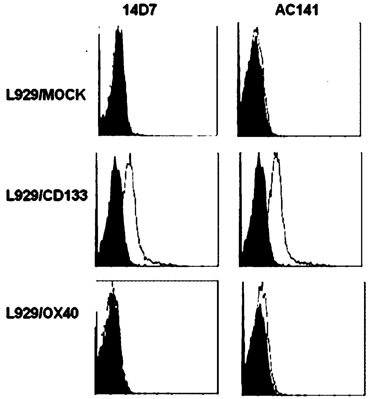 Anti-human CD133 monoclonal antibody and preparation method and applications thereof