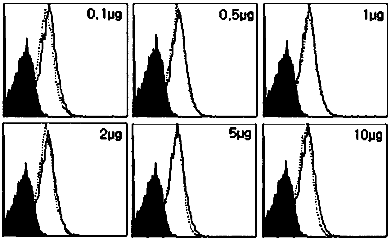 Anti-human CD133 monoclonal antibody and preparation method and applications thereof