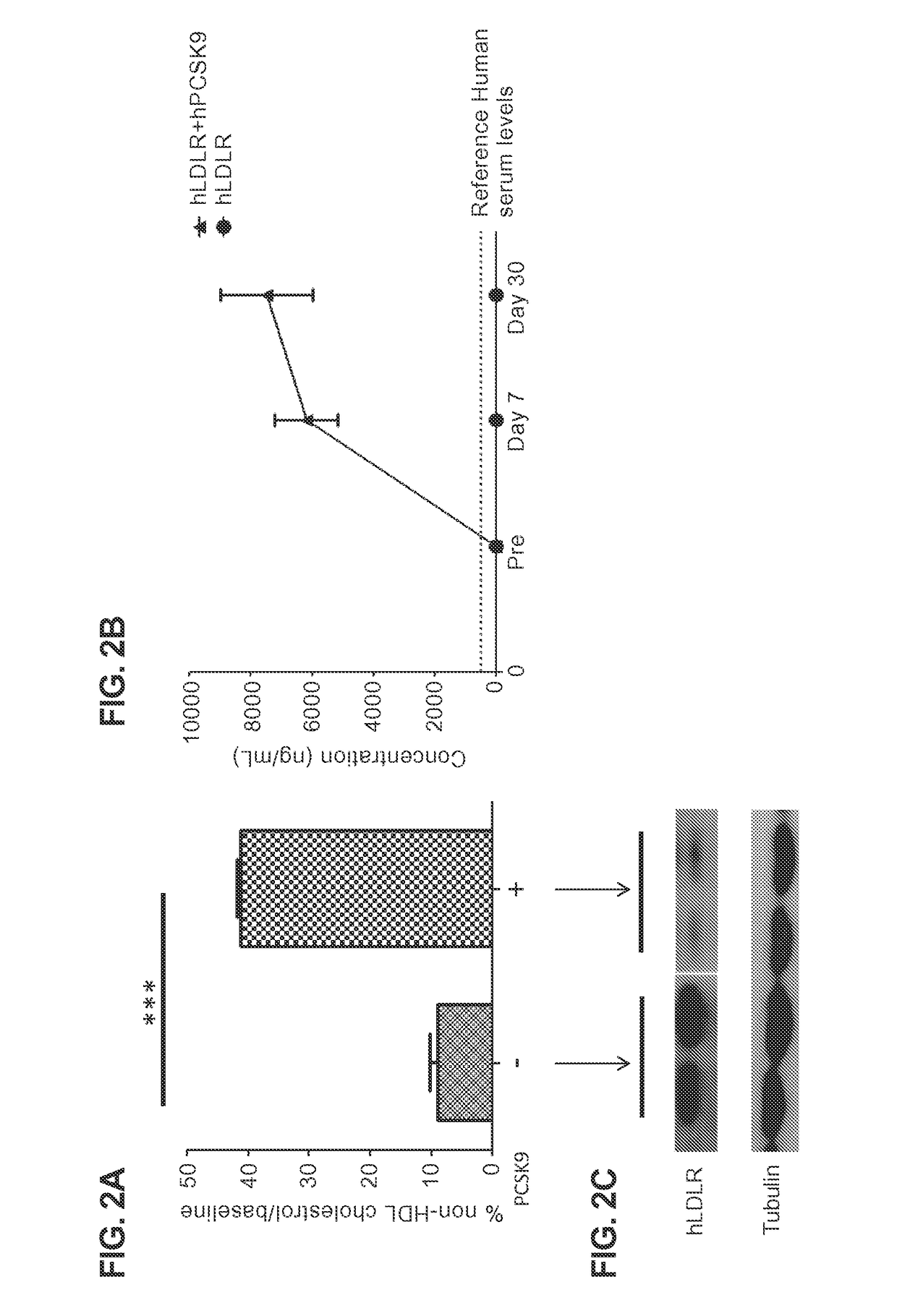 Ldlr variants and their use in compositions for reducing cholesterol levels