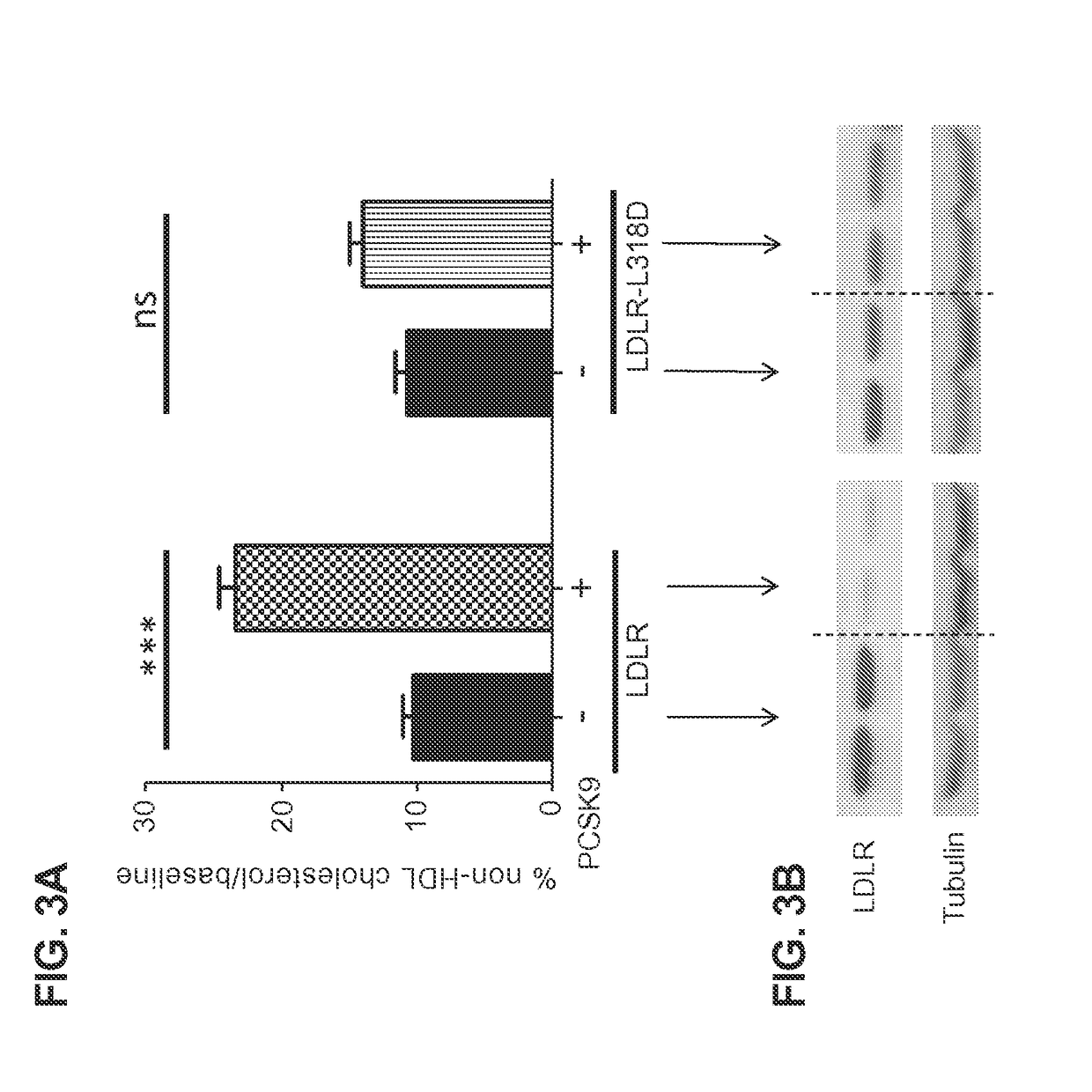 Ldlr variants and their use in compositions for reducing cholesterol levels