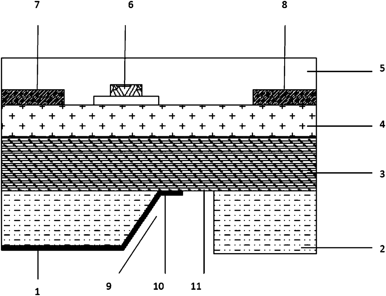 HEMT (high electron mobility transistor) device with back field plate structure and preparation method of HEMT device