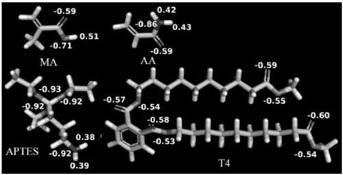 Preparation method, product and application of phthalate molecularly imprinted polymer