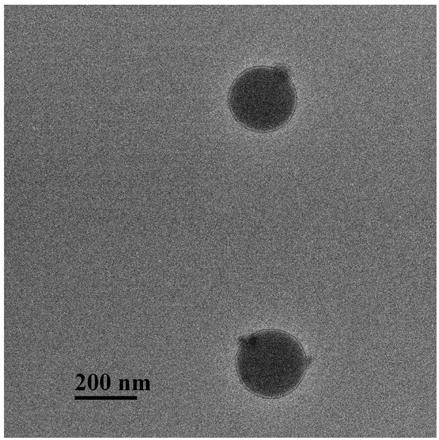 Preparation method, product and application of phthalate molecularly imprinted polymer