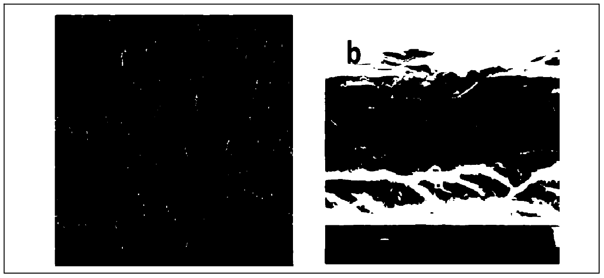 Preparation method of composite membrane with catalytic function for positive and negative electrodes for all-vanadium redox flow battery