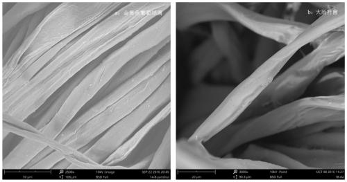 A material with antibacterial synergistic anti-bacterial adhesion function and its preparation and application