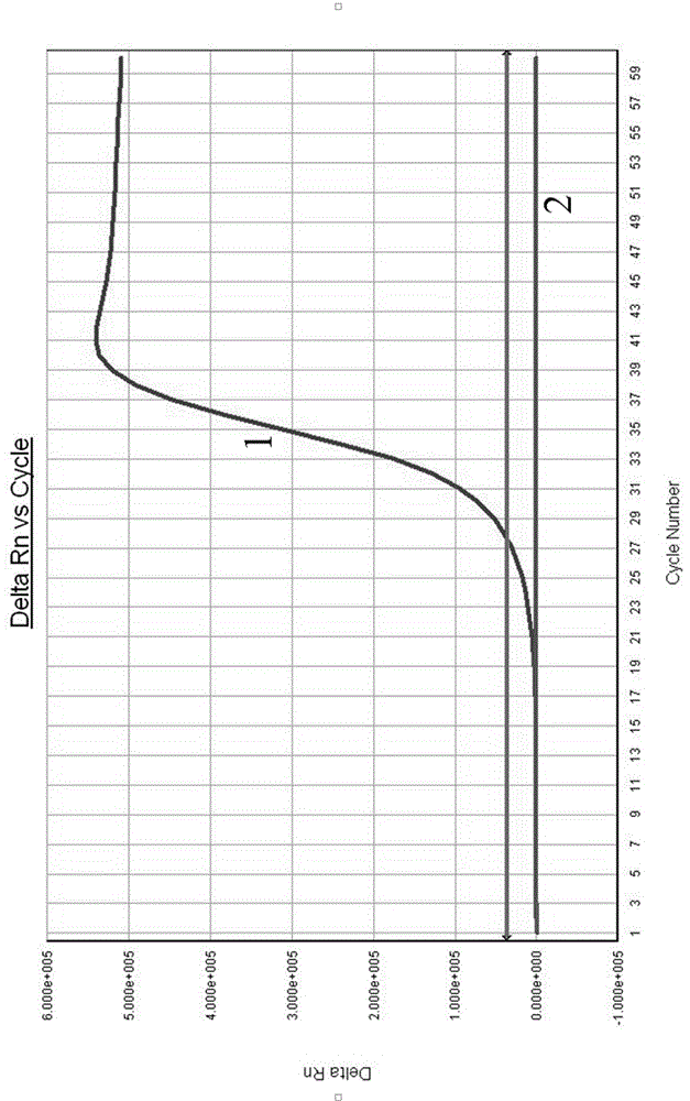 Molecular detection method of salmonella and application thereof