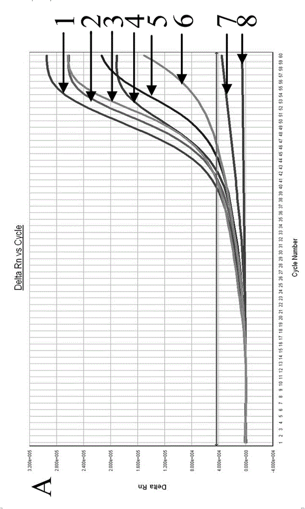 Molecular detection method of salmonella and application thereof