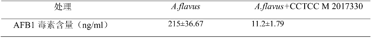 Enterobacter cloacae biocontrol strain for efficiently inhibiting aspergillus flavus compounded aflatoxin and its application