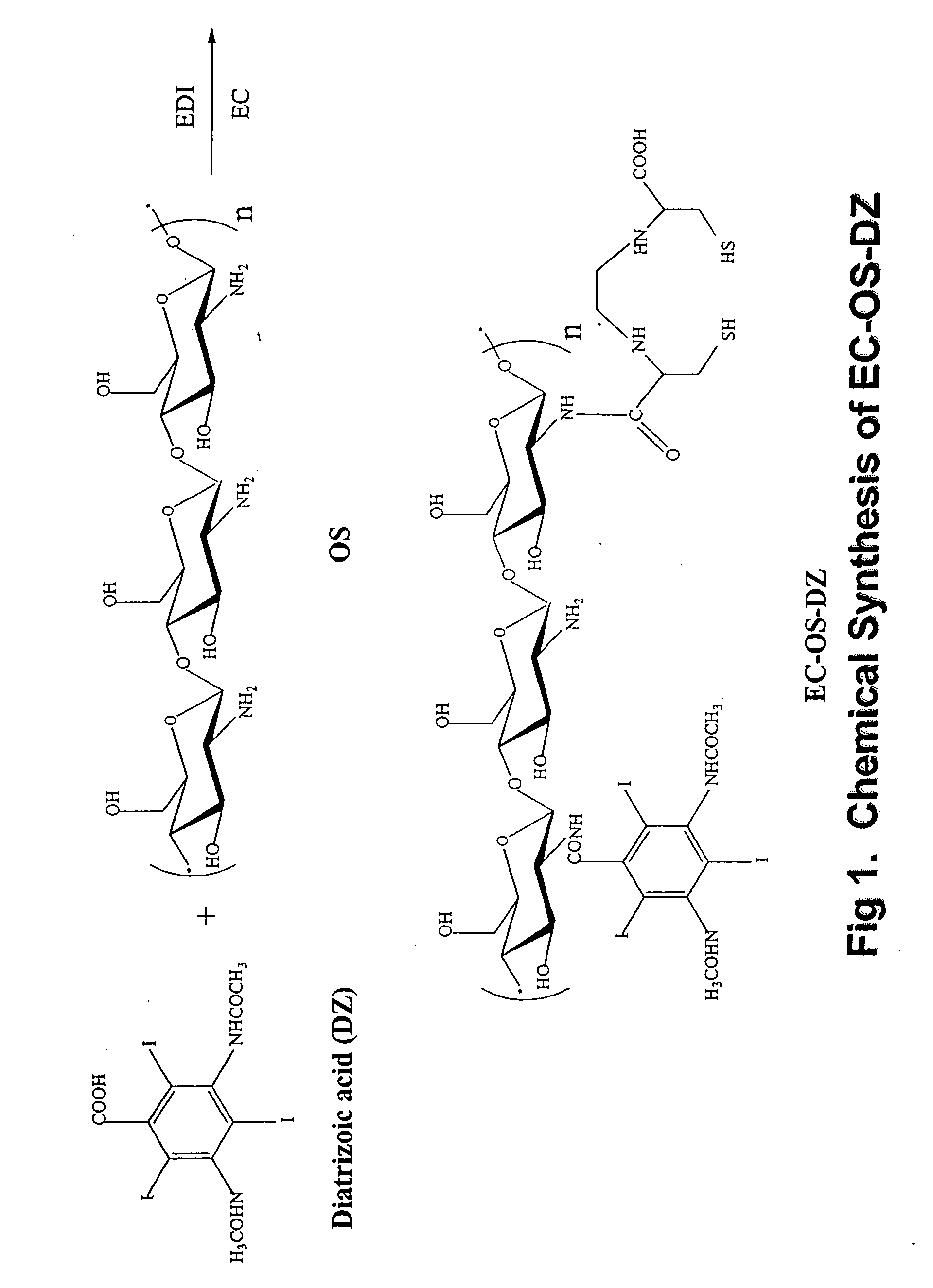 Conjugates for dual imaging and radiochemotherapy: composition, manufacturing, and applications