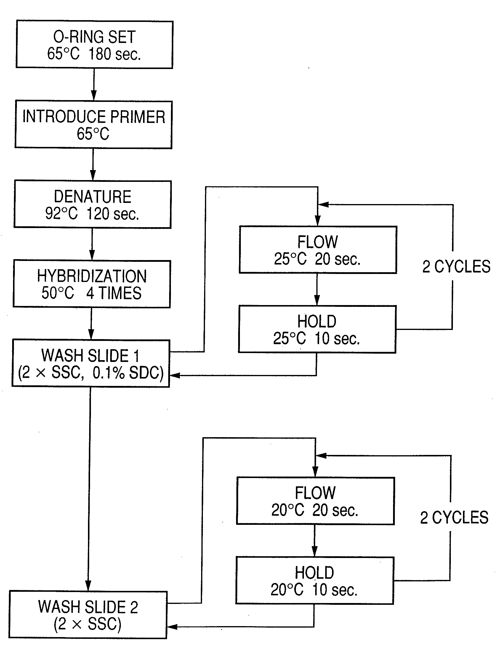 Probe, probe set, probe carrier, and testing method