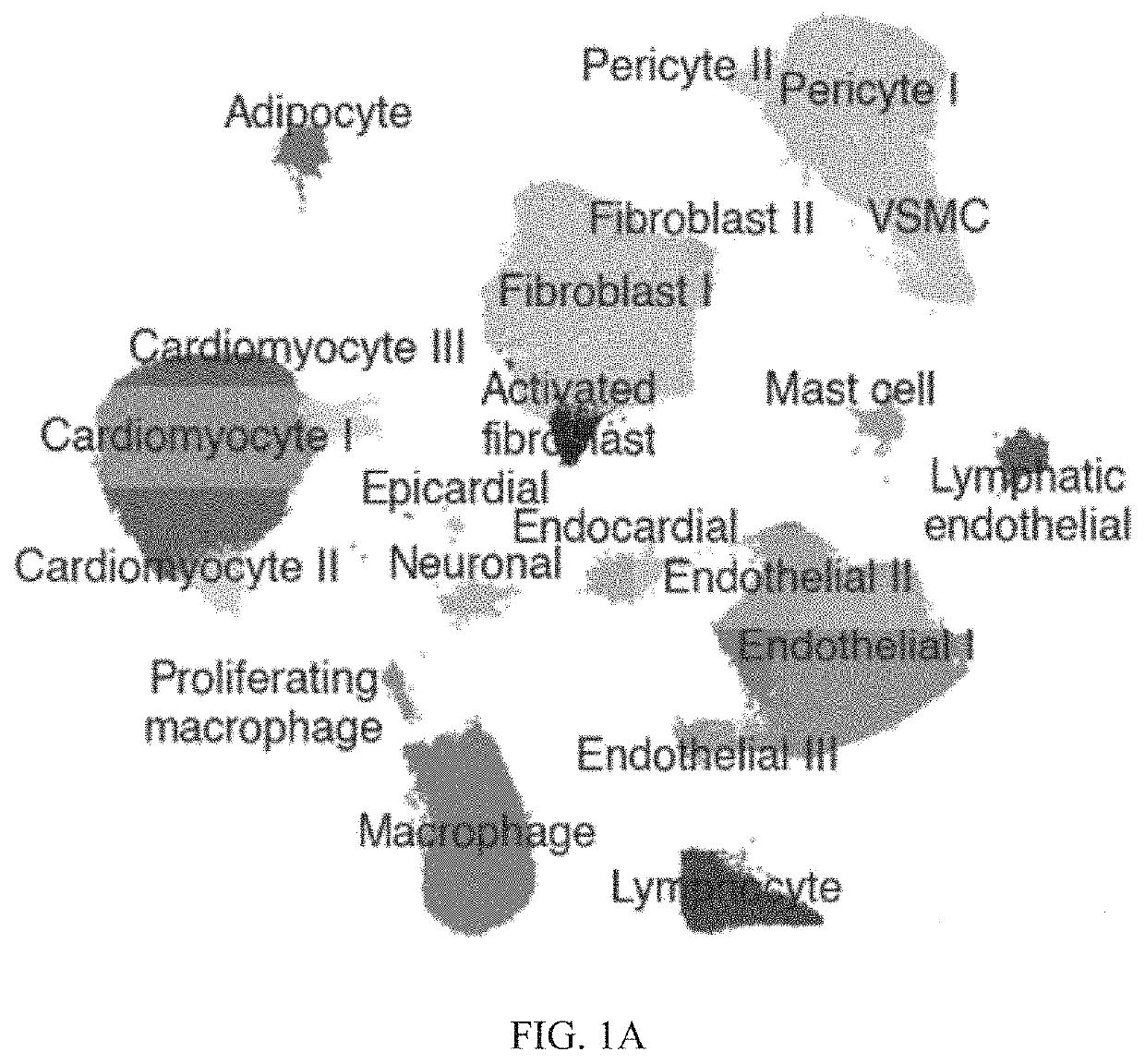 Diagnosis and treatment of cardiomyopathy