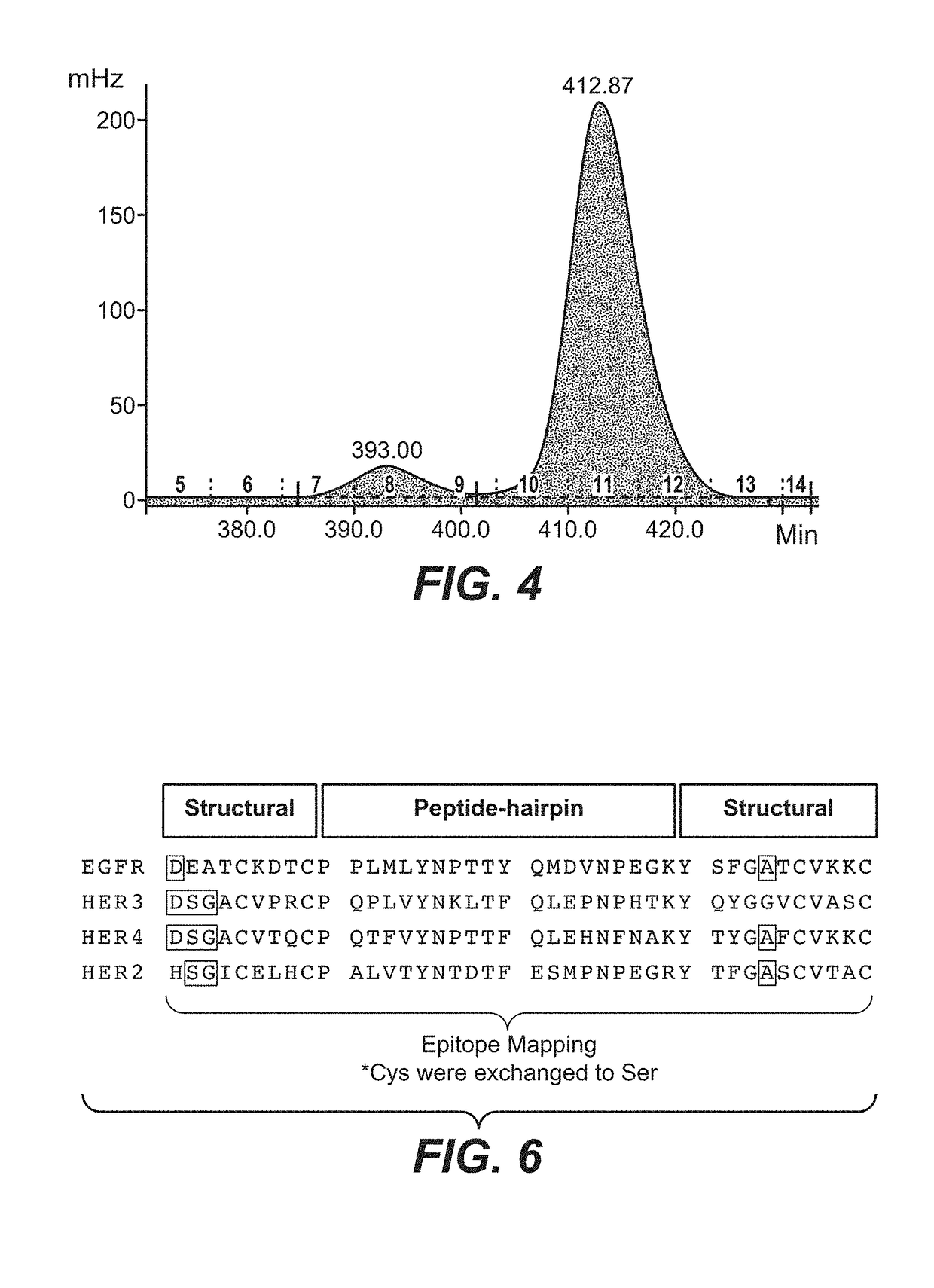 HER1 antigen binding proteins binding to the beta-hairpin of HER1