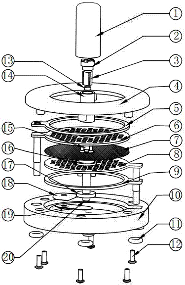 Hydrogen water cup base with air-water separation structure