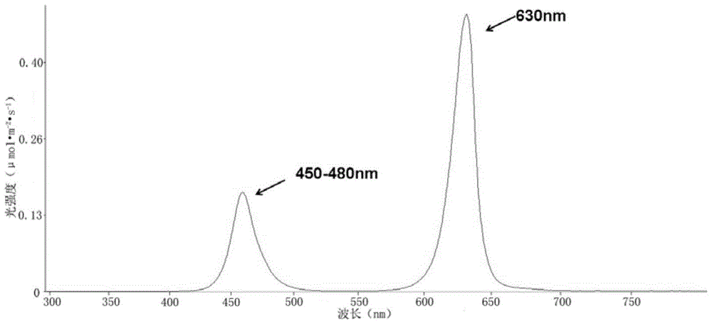 A method of promoting rooting of moth orchid tissue culture seedlings by using LED light source