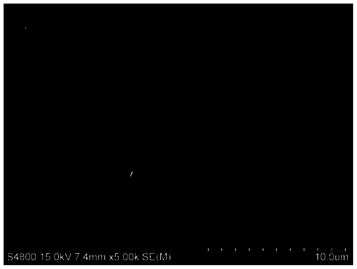 Microfluidic Chip