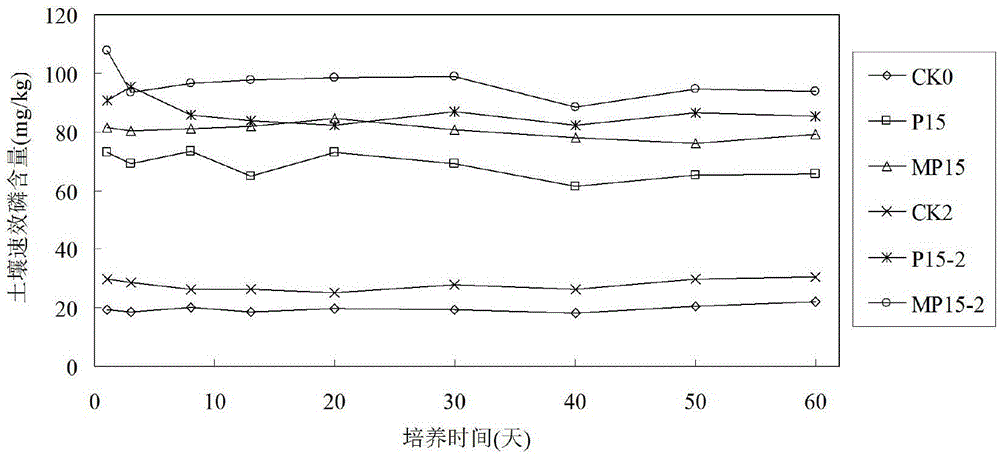 Alkaline soil phosphorus activator