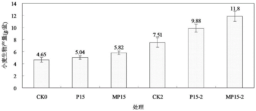 Alkaline soil phosphorus activator