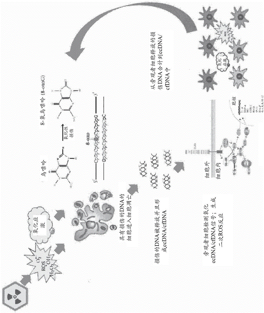 Oxidized fraction of extracellular dna as a biomarker of stress and methods for using the same