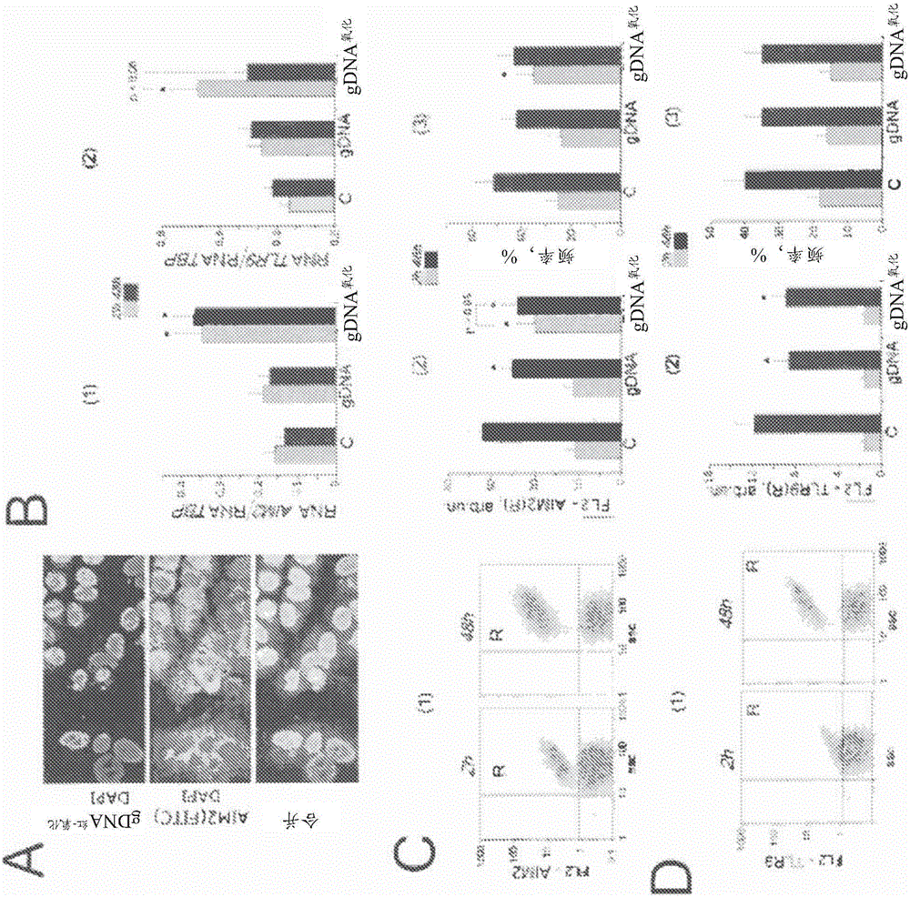 Oxidized fraction of extracellular dna as a biomarker of stress and methods for using the same