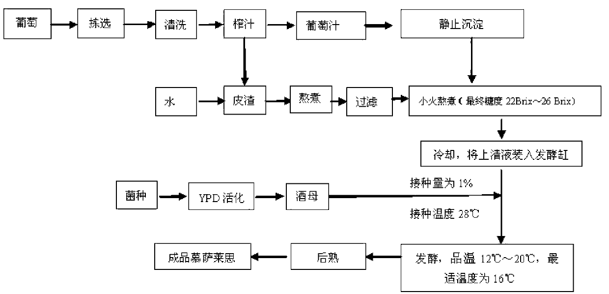 Low-temperature yeast for brewing musalaisi, preparation method and prepared musalaisi