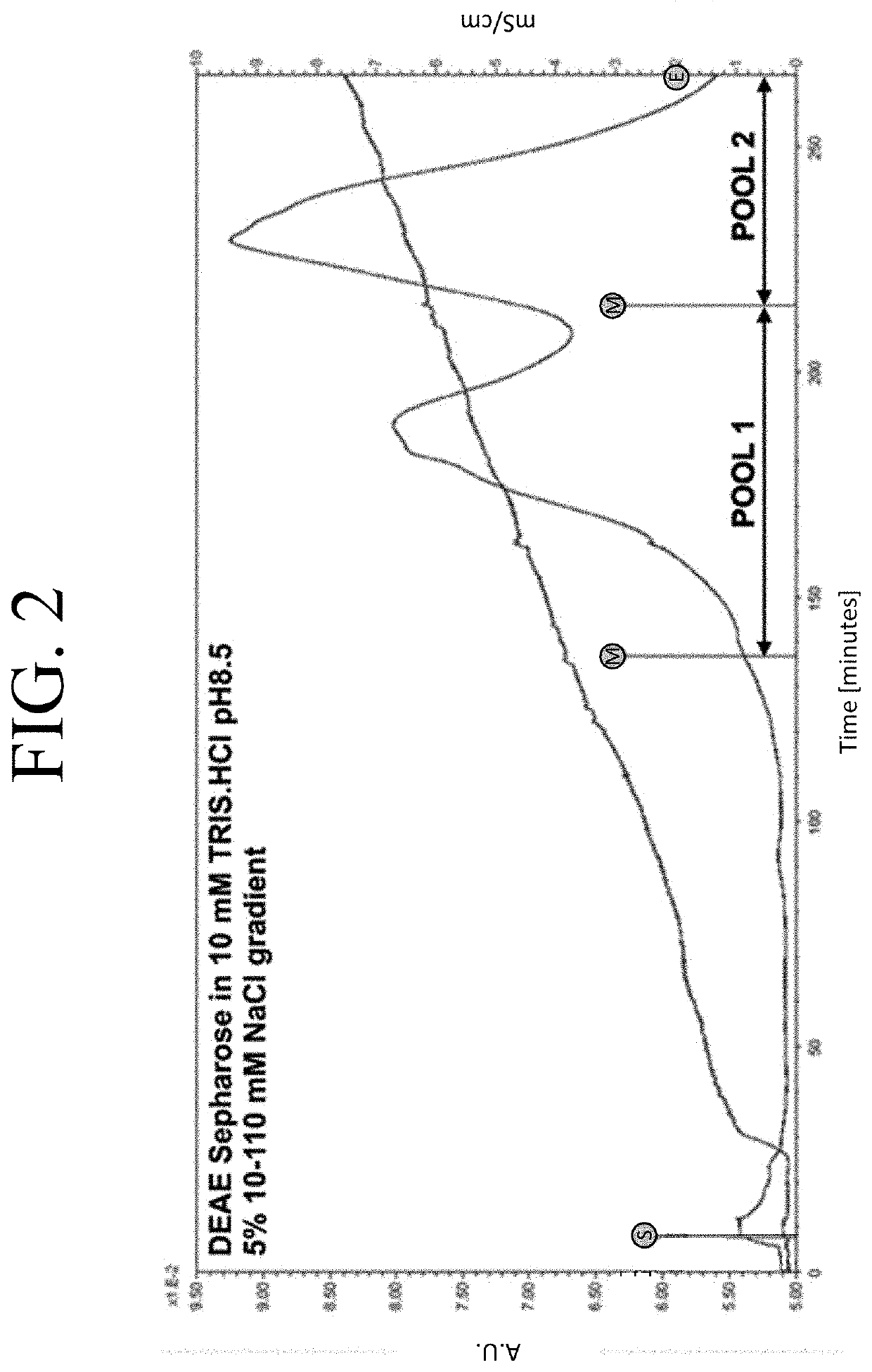 Optimization of enzyme replacement therapy for treatment of homocystinuria