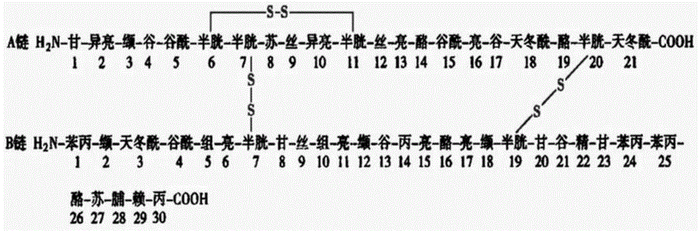 Modularly-assembled protein structure model