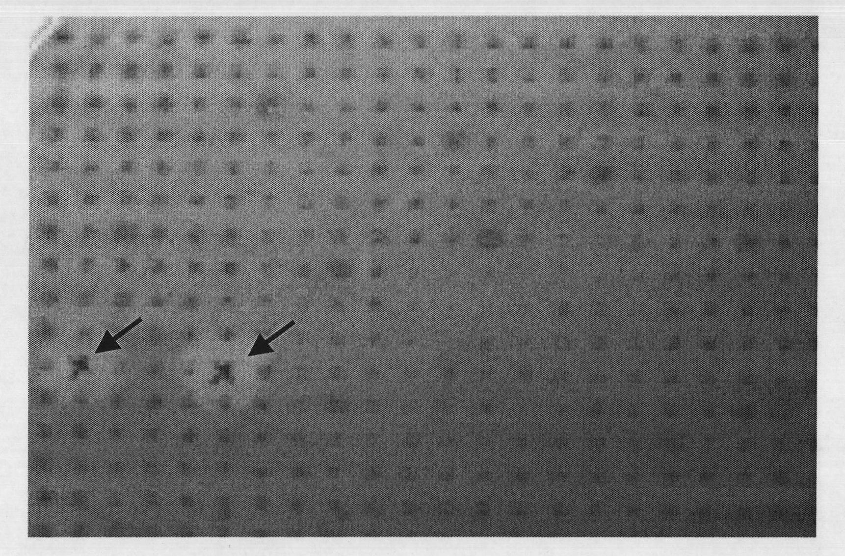 Method for obtaining biomass conversion related genes from anaerobic fermentation system