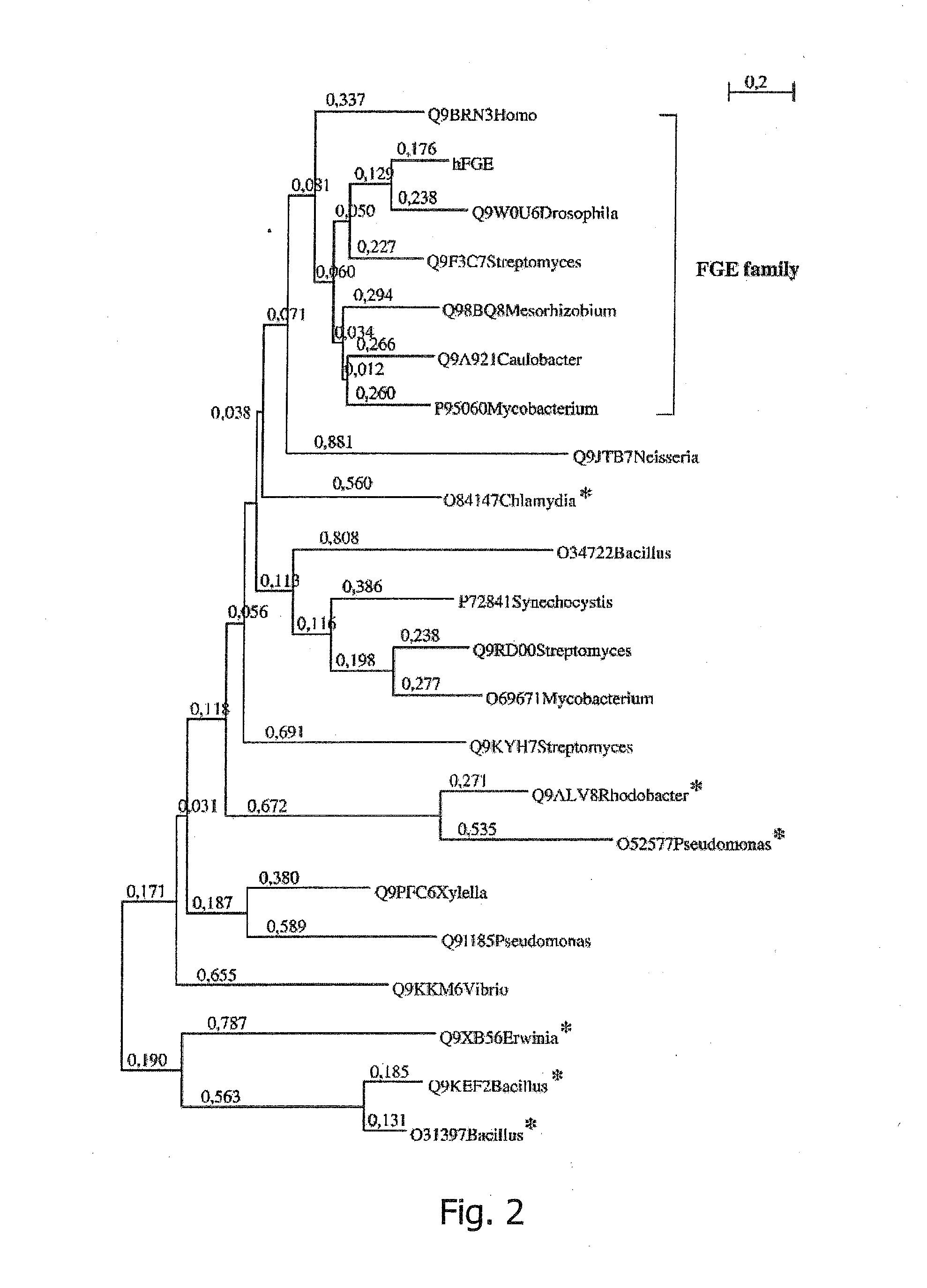 Diagnosis and treatment of multiple sulfatase deficiency and other sulfatase deficiencies