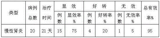 Medicine for treating chronic nephritis and preparation method thereof