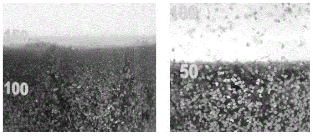 Graphene film for light efficient electromagnetic shielding and preparation method thereof