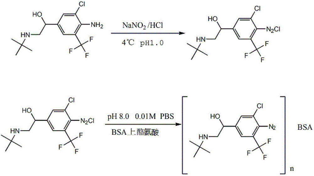 Mabuterol colloidal gold test strip and preparation method thereof