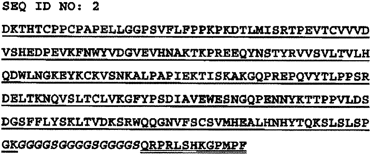 Apelin fusion proteins and uses thereof