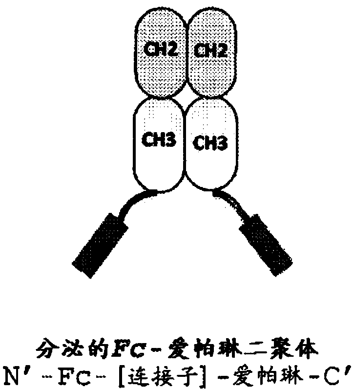 Apelin fusion proteins and uses thereof