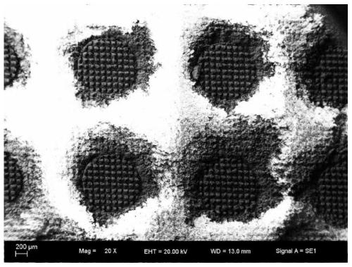 Preparation method for anti-ice surfaces of bionic coupling water collecting aluminum alloys