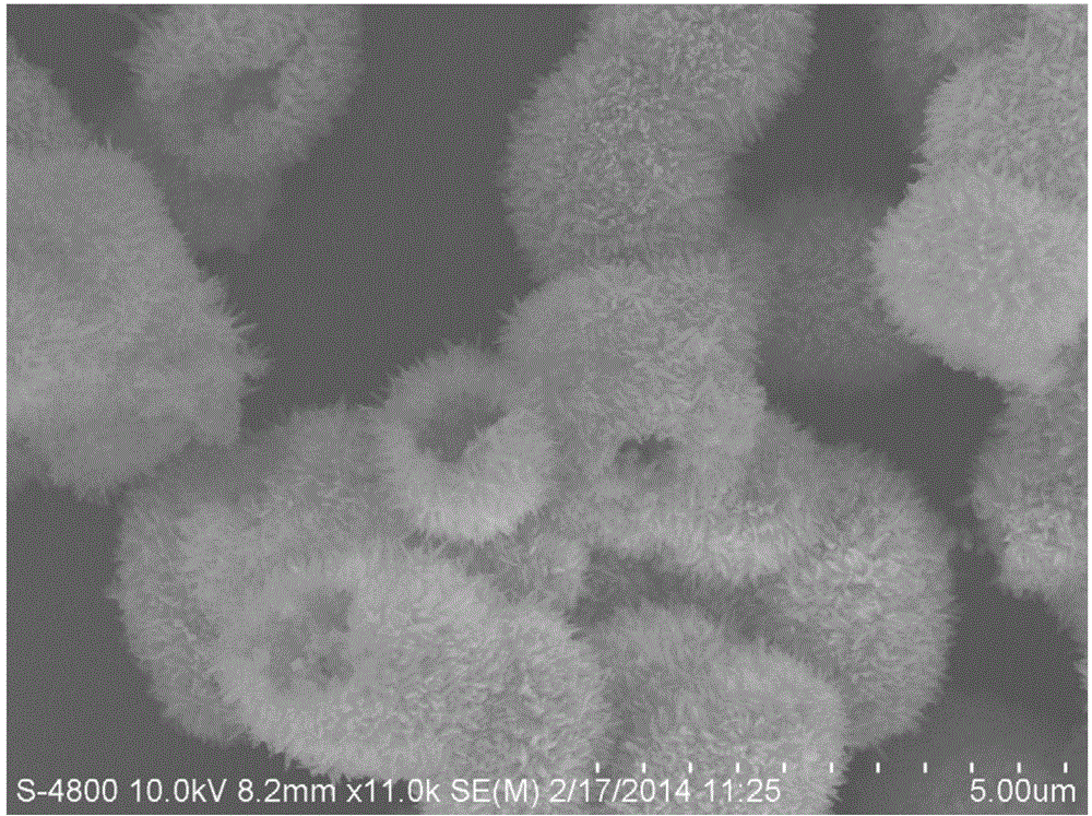 Preparation method of ellipsoidal ion-doped hydroxyapatite microspheres with porous surface