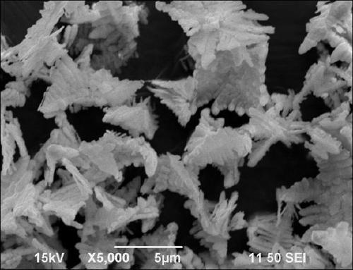 A kind of p-n heterojunction bivo4/mos2 composite photocatalyst and preparation method thereof