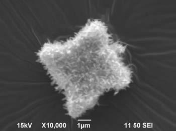 A kind of p-n heterojunction bivo4/mos2 composite photocatalyst and preparation method thereof