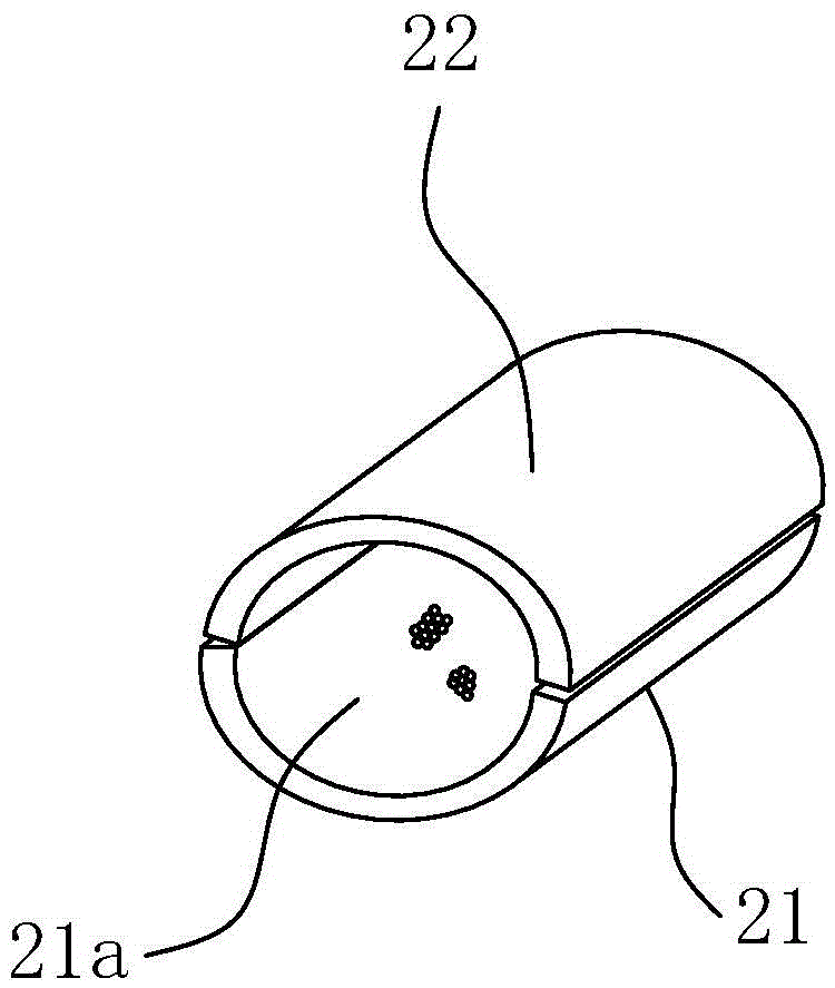 Device and method for incubating zygotes of fishes